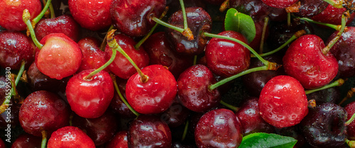 Fototapeta Naklejka Na Ścianę i Meble -  Red cherry closeup background, fruit banner.