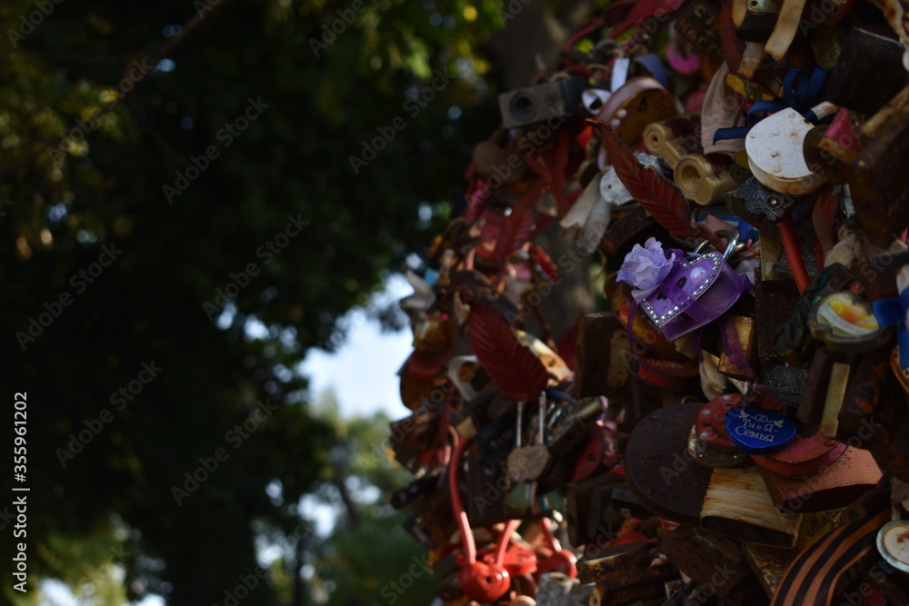 Lovelock tree with many colorful locks Lovelock tree with many colorful locks