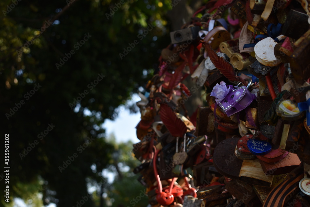 Lovelock tree with many colorful locks