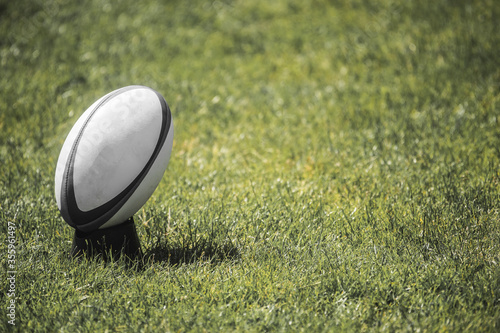 Εκτύπωση καμβά White Rugby ball over the grass in the stadium