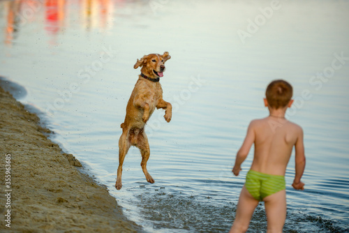child plays with a dog on the banks of the Desna River .city Chernihiv Ukraine June 07, 2020