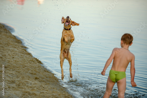 child plays with a dog on the banks of the Desna River .city Chernihiv Ukraine June 07, 2020