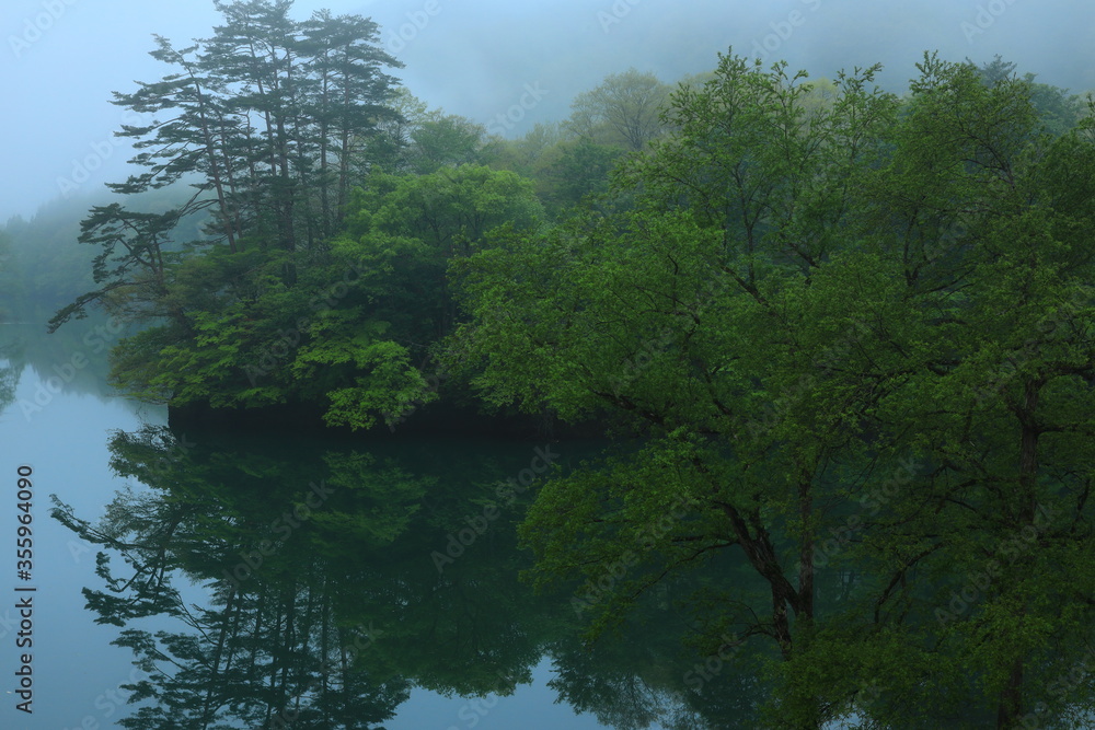 新緑の錦秋湖 新緑の錦秋湖