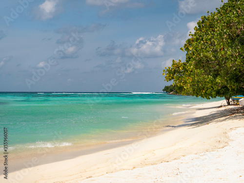 Beautiful shot of a white sand and palm tree coastline of a tropical island.