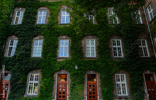 Amazing green wall of building in Wawel Castle area, Krakow, Malopolskie, Poland