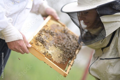 Beekeepeer holding a frame with honeycomb and bees