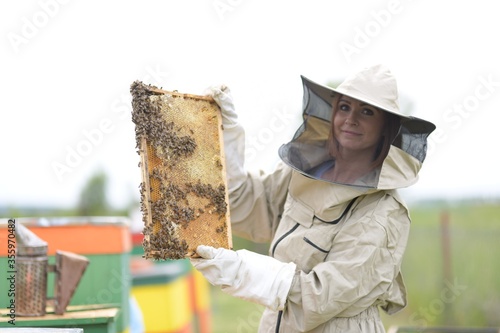 Beekeepeer holding a frame with honeycomb and bees