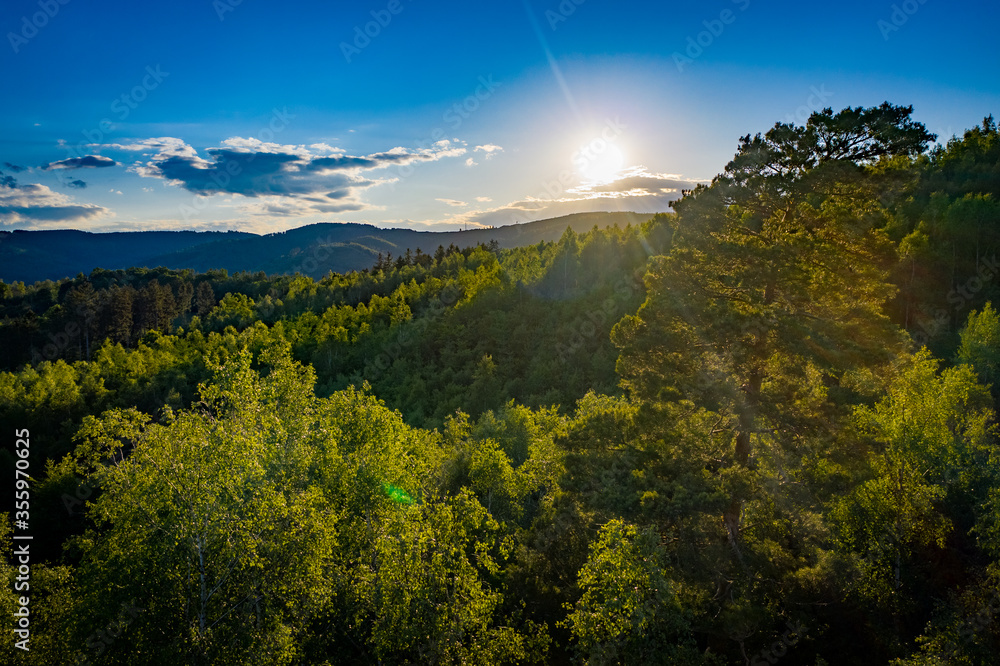Obraz premium Harz im Abendlicht