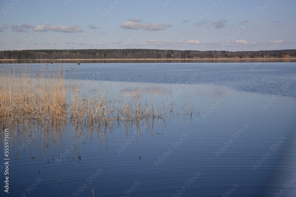Leningradskaya oblast Russia, May 05 2016. The blue mirror surface of the lake's water reflects the stems of the grass standing near the shore. A beautiful place to relax in countryside