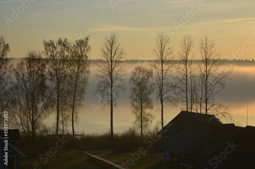 Leningradskaya oblast Russia  May 05 2016. The silhouette of the village and the trees in the early foggy morning at dawn