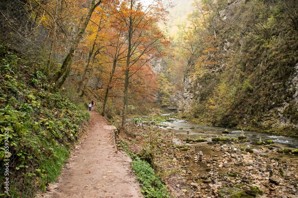 Trail scenes from Vintgar gorge in the Fall in Slovenia