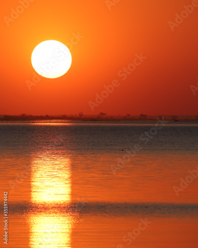 Sunset over the Paran   River in the city of Tr  s Fronteiras  State of S  o Paulo  Brazil. Beautiful golden and red sunset with a large sun highlighted.