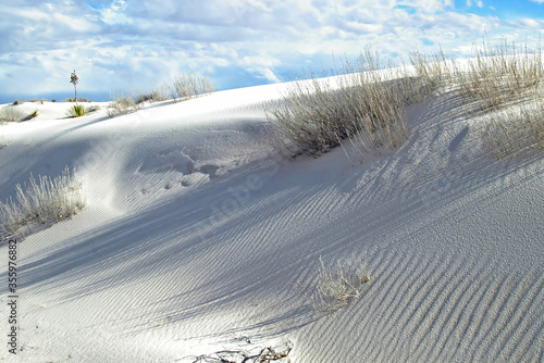 White Sands National Park -- Scenic view with sand dunes, vegatation & cloudy sky as backdrop © James Cottingham