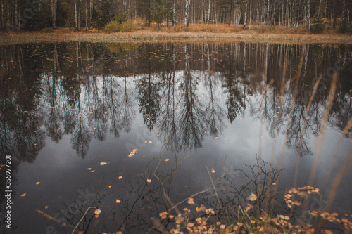The autumn moody reflection on the surface of the little lake in Czech republic