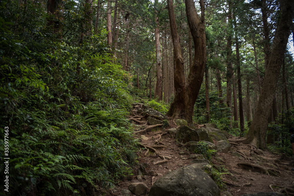 筑波山登山道 筑波山登山道