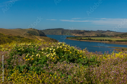 Desenbocadura Rio Rapel Navidad la boca sexta region Chile rio Flors naturaleza paisaje