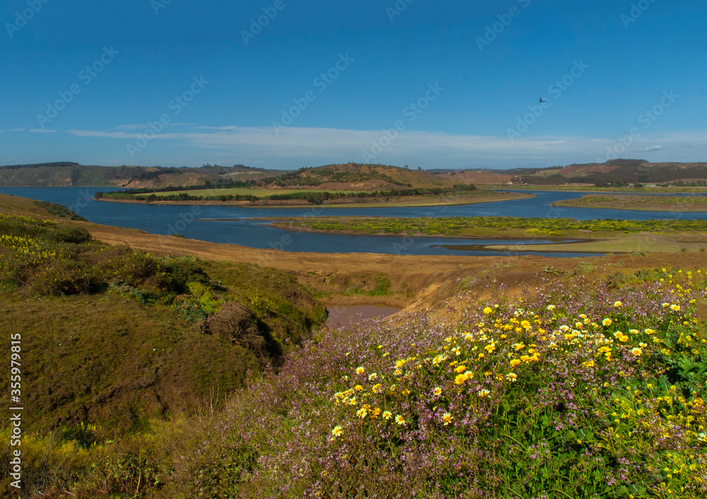 Desenbocadura Rio Rapel Navidad la boca sexta region Chile rio Flors naturaleza paisaje