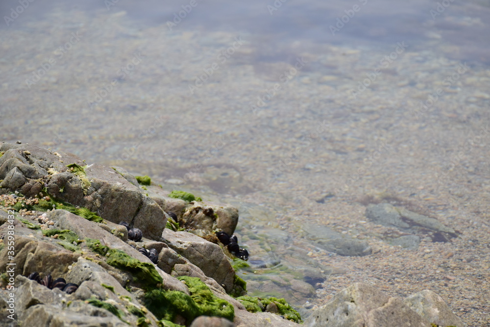 Obraz premium 海の浅瀬