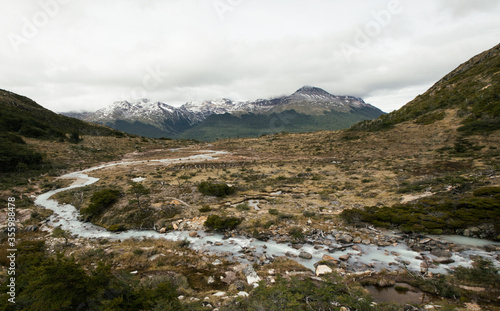 Glacier water rocky stream flowing downhill across the valley  yellow meadow and forest  into the Andes mountains with snowy peaks. 