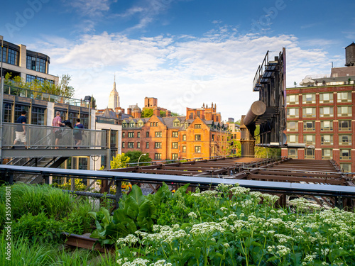 view from New York High Line park in summer