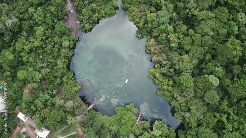 Lagoa do japonês - Jalapão