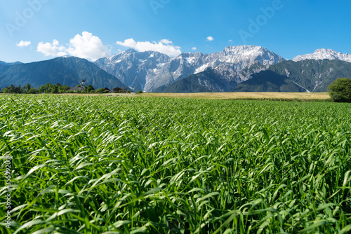Agricaltural fields along the rocky mountain range with typical small Austrian church, Mieming, Austria
