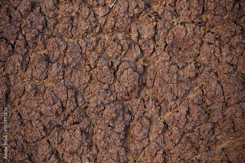 Texture of land dried up by drought, the ground cracks background with grunge. Black Soil Texture Background. Top View of a Dark Ground Surface. Close Up Macro View of Dirt and Stones. Text Space.