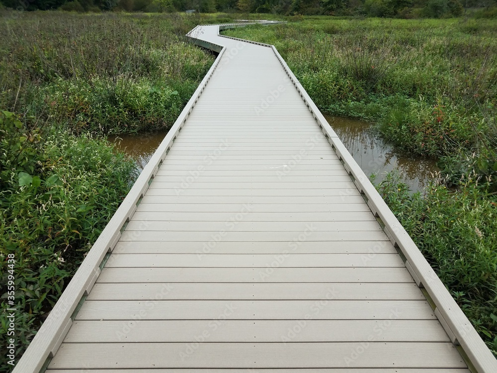 boardwalk or path or trail with trees and green plants in wetland