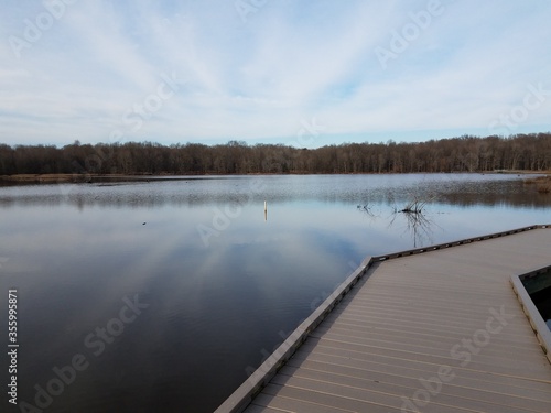 wood boardwalk in lake or pond with trees