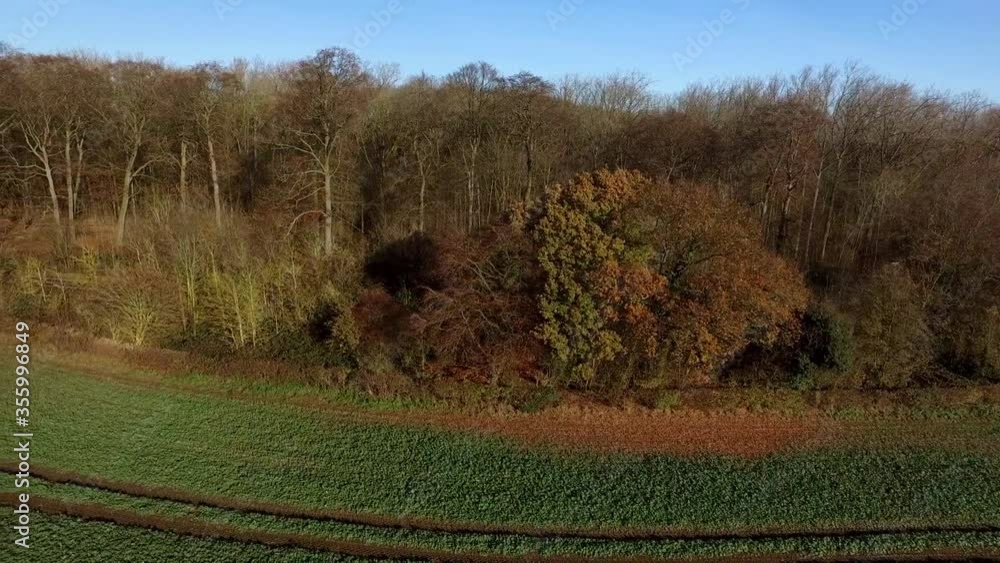 Autumn in the Woods and Trees United Kingdom Autumn in the Woods and Trees United Kingdom