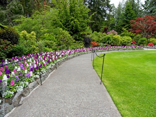 Paved walkway in the springtime garden among the lawns and flower beds