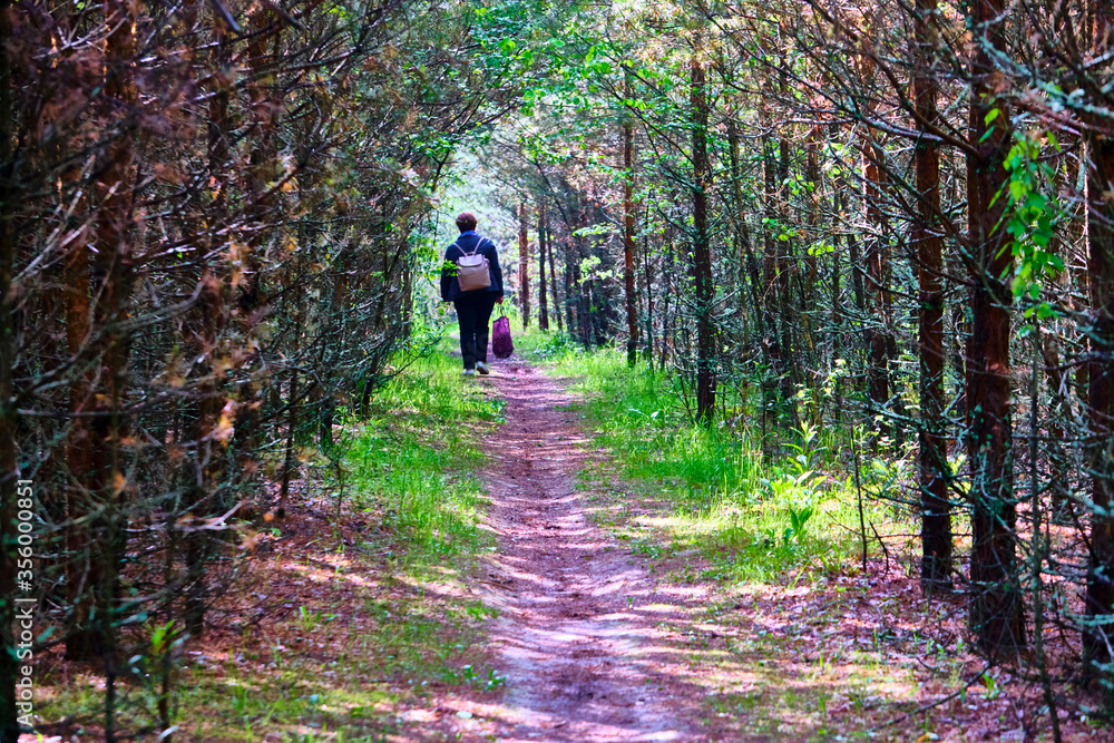 Woman walks on the path in the woods color