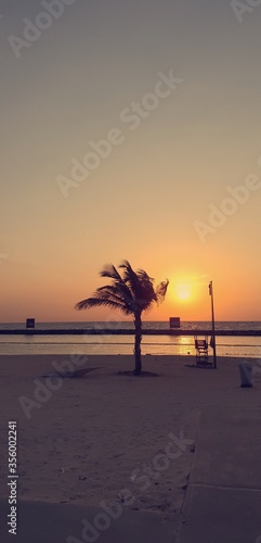 sunset on the beach