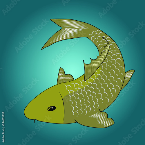 Nishikigoi or koi fish of type Chagoi, a yellowish-grey koi, very tame and can influence other koi to be tame