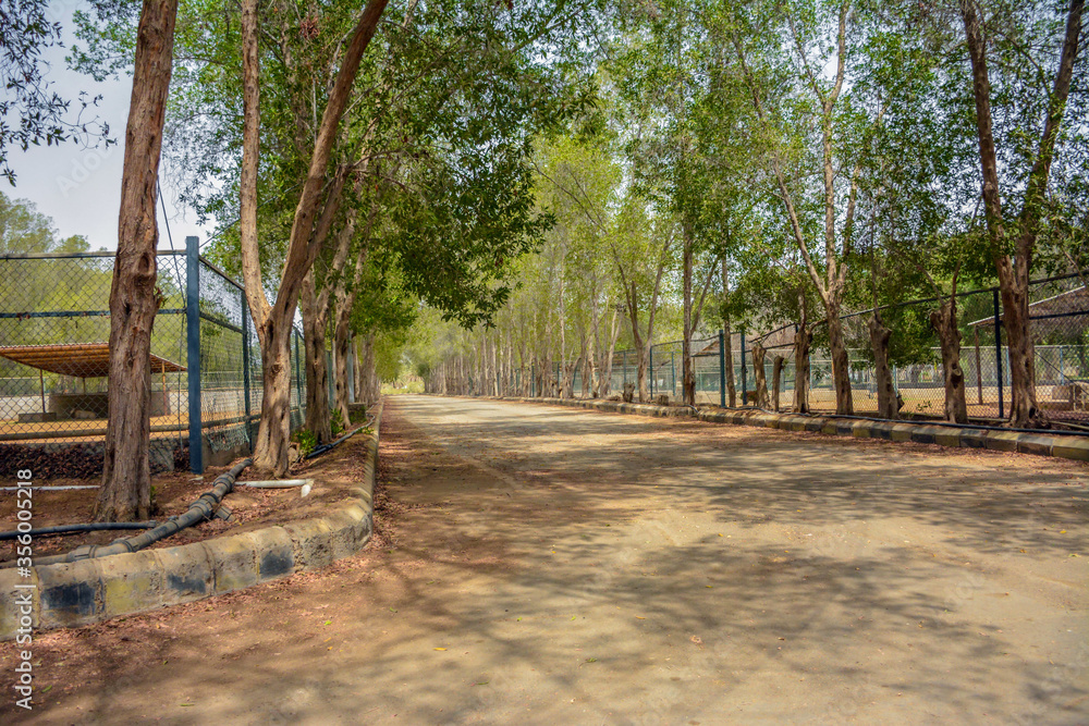 Beautiful village road in Jeddah, Saudi arabia Beautiful village road in Jeddah, Saudi arabia