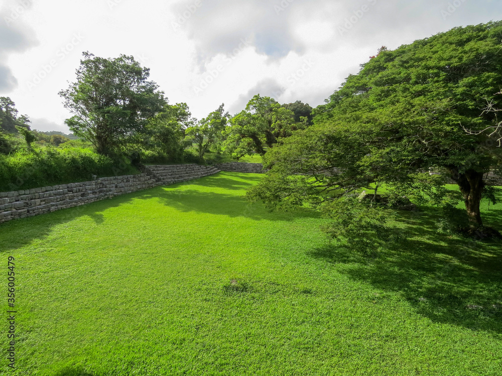 escalinatas mayas cubiertas por la selva