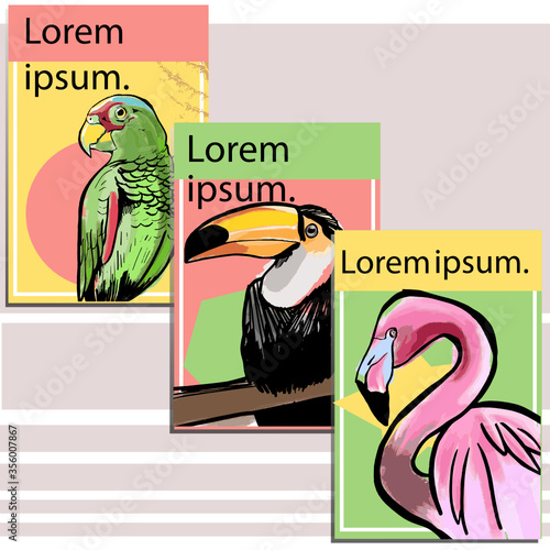 aves