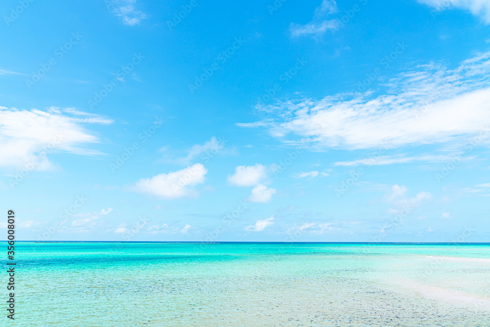 海 海