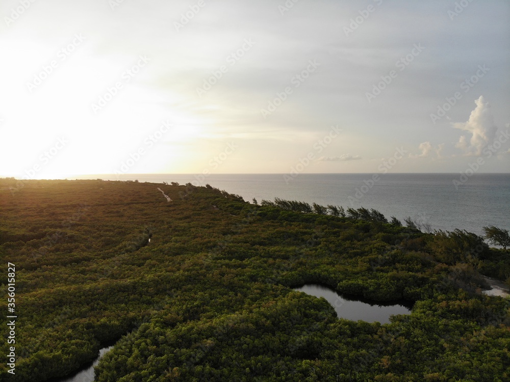 Naklejka premium West Bay Cayman Islands view with greenery 