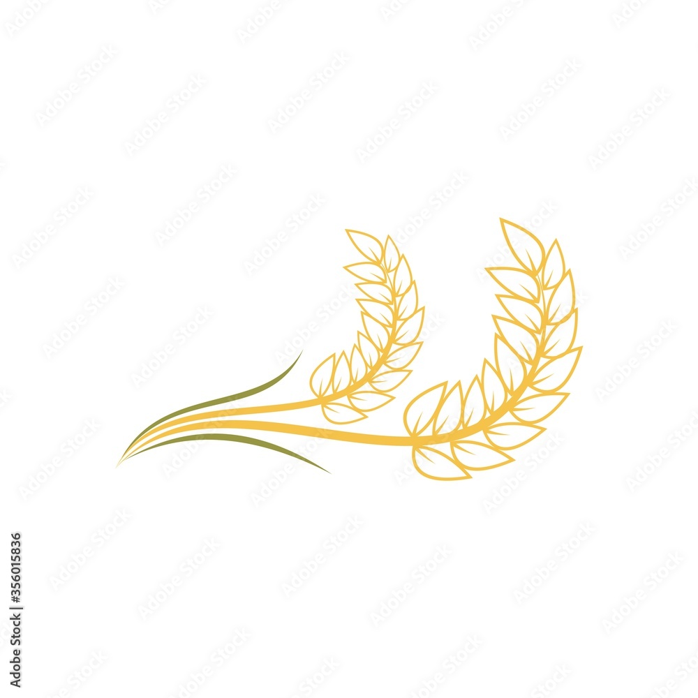 Agriculture wheat Logo Template vector icon design. Vector illustration Agriculture wheat Logo Template vector icon design. Vector illustration