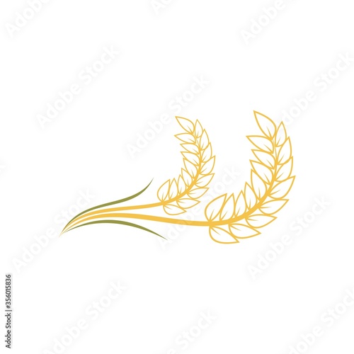 Agriculture wheat Logo Template vector icon design. Vector illustration