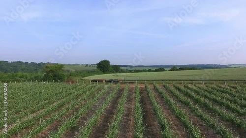 Hampshire Countryside and Hambledon Vineyard UK photo