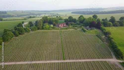 Hampshire Countryside and Hambledon Vineyard UK photo