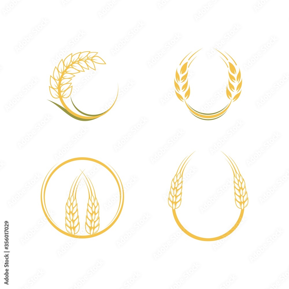 Agriculture wheat Logo Template vector icon design. Vector illustration Agriculture wheat Logo Template vector icon design. Vector illustration
