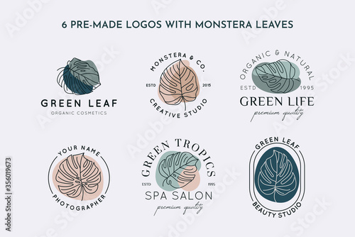 Collection of Monstera leaf logo design template in simple minimal linear style. Vector Exotic tropical emblem