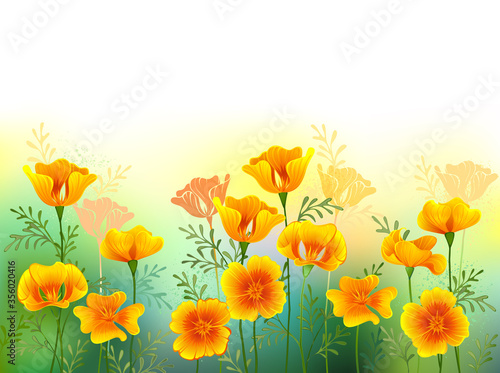 Background with california poppy