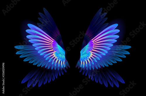 Glowing hummingbird wings