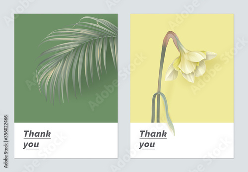 Minimalist botanical thank you card template design, indoor bamboo palm and Daffodil