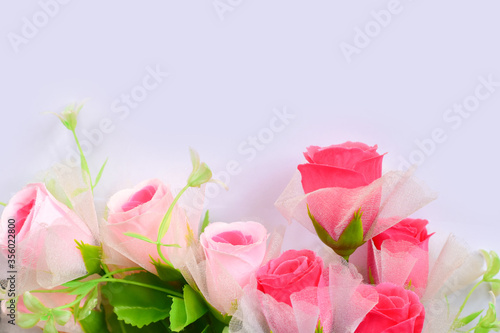 a bouquet of flowers isolate on white background with copy space isolate on white background, Close-up of flowers