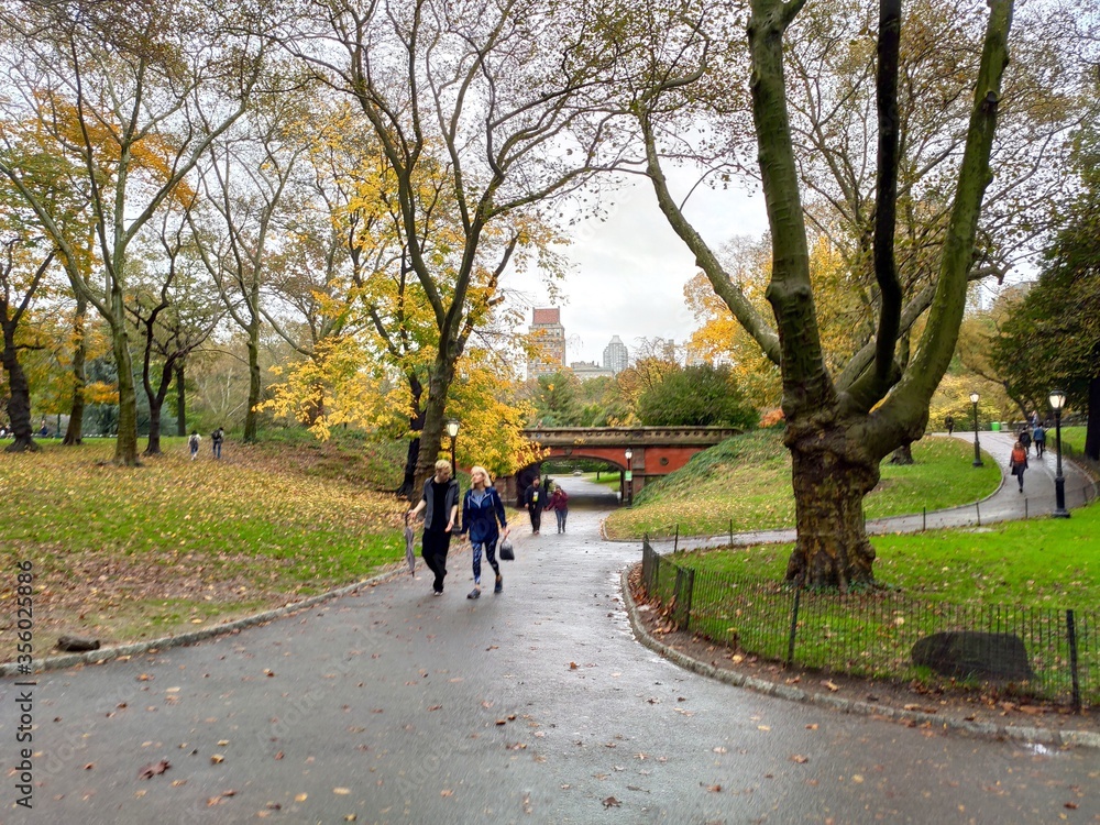 Naklejka premium New York / Central Park / Manhattan / Autumn / Sun / Sunset / Street / eua / travel / happy / Building / skyline / people / lights